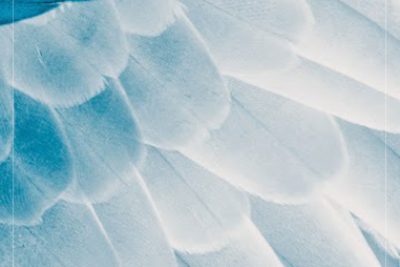 Estudiemos a los Ángeles